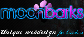 Webdesign by moonbarks