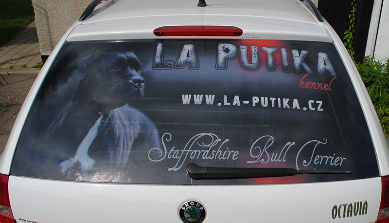 Samolepky ps� na auto