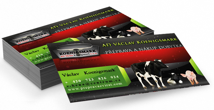 Firemn� vizitky, tvorba vizitek, online vizitky, design vizitek