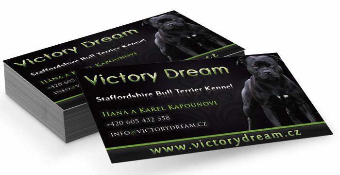 Vizitky, tvorba vizitek, online vizitky, design vizitek