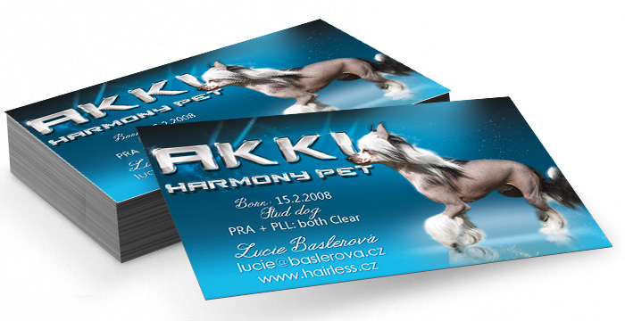 Vizitky, tvorba vizitek, online vizitky, design vizitek