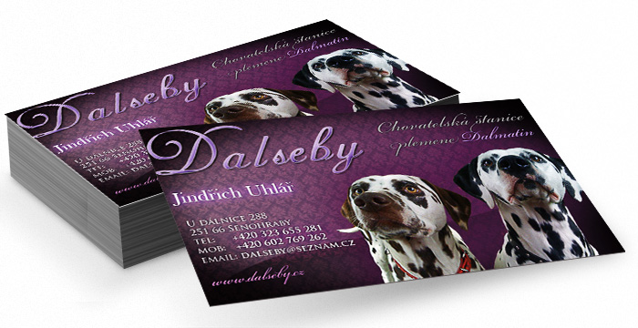 Vizitky, tvorba vizitek, online vizitky, design vizitek