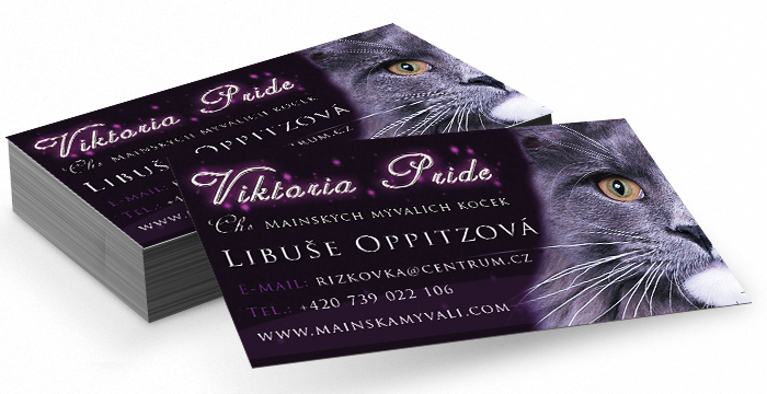 Vizitky, tvorba vizitek, online vizitky, design vizitek