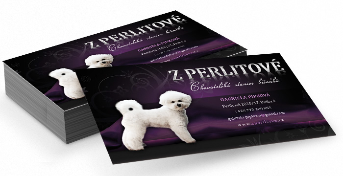 Vizitky, tvorba vizitek, online vizitky, design vizitek