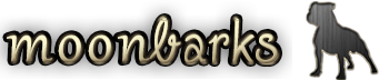 Webdesignov� studio Praha