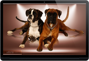 Webdesign pro chovatele