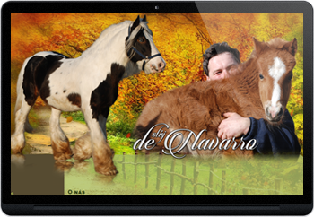 Webdesign pro chovatele