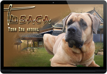 Webdesign pro chovatele