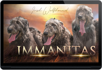 Webdesign for breeders
